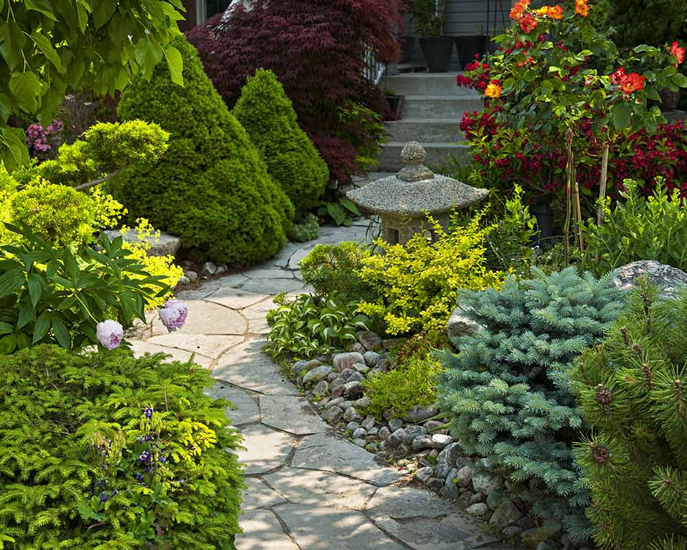 stone walkway surrounded by plants lexington sc